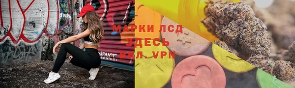 стафф Горно-Алтайск