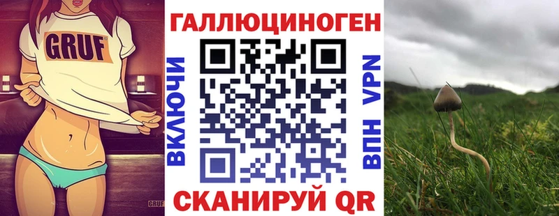 Псилоцибиновые грибы Psilocybe  кракен зеркало  Михайлов 